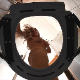 An Italian woman sets up a camera beneath a potty chair to provide a bowlcam style perspective of her pissing and shitting from above. The poop ends up nearly covering the camera lens. Presented in 720P HD. Over 3 minutes.